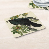 アウドゥボンレイヴン鳥クラシックのアートワーク スクエアペーパーコースター (アングル)