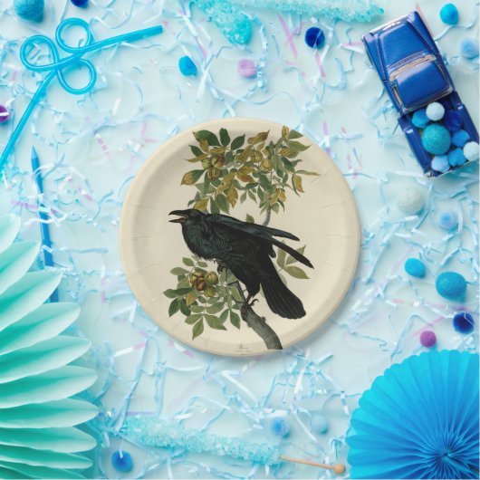 アウドゥボンレイヴン鳥クラシックのアートワーク ペーパープレート (パーティー)