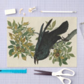 アウドゥボンレイヴン鳥クラシックのアートワーク 薄葉紙 (クラフト)