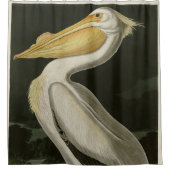 アウドボンの鳥、アメリカの白いペリカン シャワーカーテン (正面)