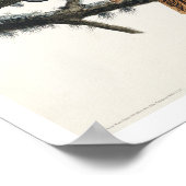 アウドー素晴らしボンポスターで角型フクロウ ポスター (角)