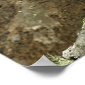 アウネリーケア ポスター (角)