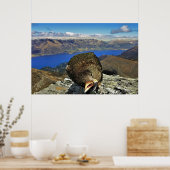 アウネリーケア ポスター (キッチン)