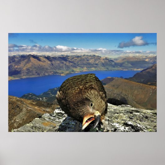 アウネリーケア ポスター (正面)