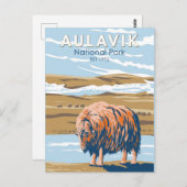 アウラヴィックナショナルパークカナダムスクオックスヴィンテージ ポストカード (正面/裏面)