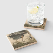 アウ素晴らしドゥボンのアメリカ鳥のブルーヘロン ストーンコースター (横)