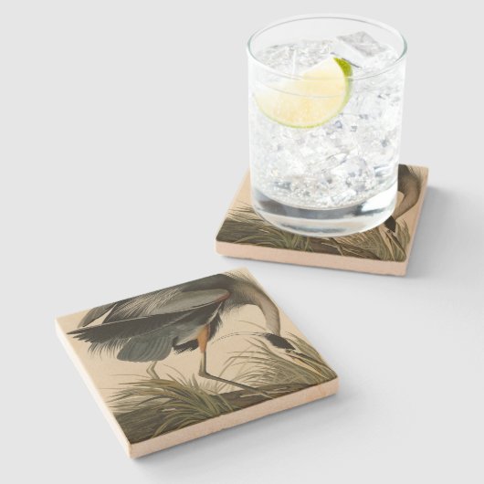 アウ素晴らしドゥボンのアメリカ鳥のブルーヘロン ストーンコースター (横)