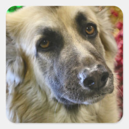 アウ スクエアシール