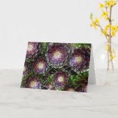 アエオニウム属の庭 カード (黄色い花)