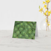 アエオニウム属のtabuliformeカード カード (黄色い花)