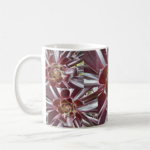 アエオニウム属のZwartkopのsucculentのマグ コーヒーマグカップ