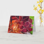 アエオニウム水カラーカード カード (黄色い花)