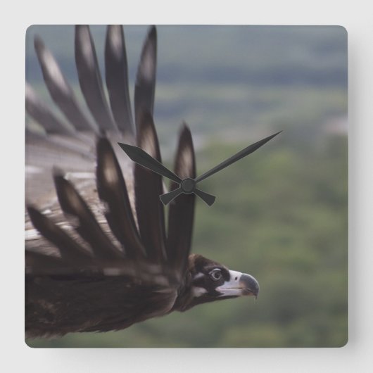 アエジプト スクエア壁時計 (正面)