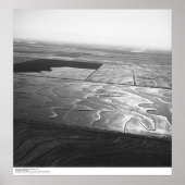 アエリアル、サクラメント渓谷、田、1966年5月 ポスター (正面)