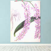 アエリーズロビィヴィンテージ薄紫リンデニアオーキッド キャンバスプリント (インサイチュ (ウッドフロア))