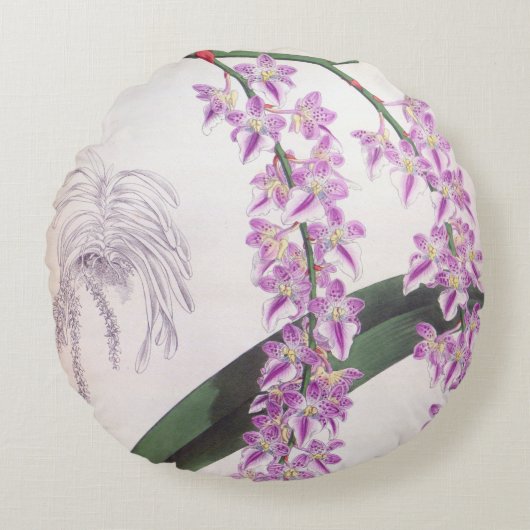アエリーズロビィヴィンテージ薄紫リンデニアオーキッド ラウンドクッション (正面)