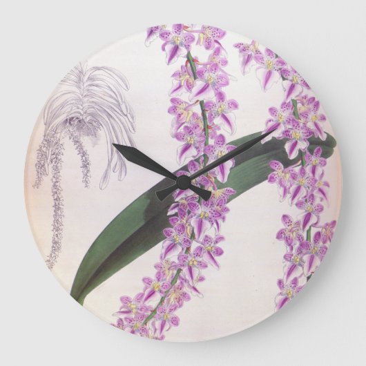 アエリーズロビィヴィンテージ薄紫リンデニアオーキッド ラージ壁時計 (正面)