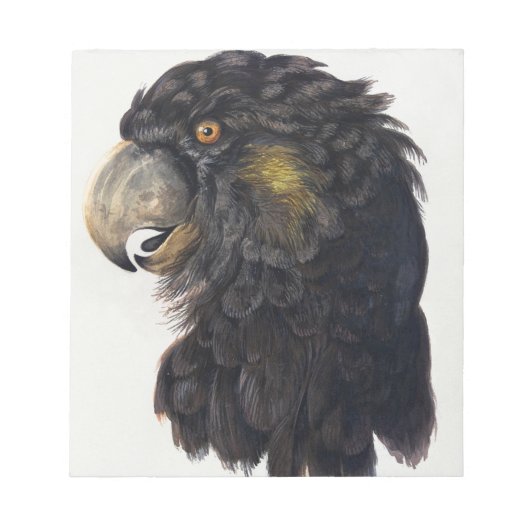 アエルトシューマン鳥頭 ノートパッド (正面)