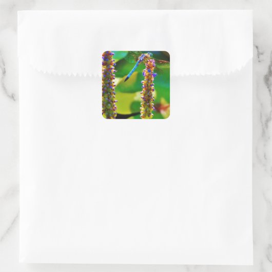 アオイと花 スクエアシール (バッグ)