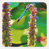 アオイと花 スクエアシール (正面)