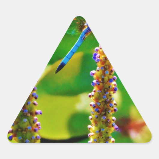 アオイと花 三角形シール (正面)