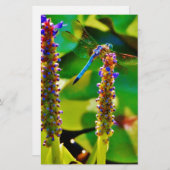 アオイと花 便箋 (正面/裏面)