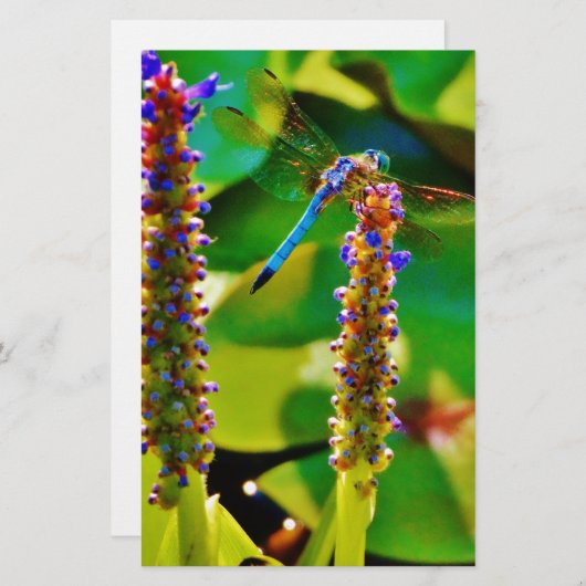 アオイと花 便箋 (正面/裏面)