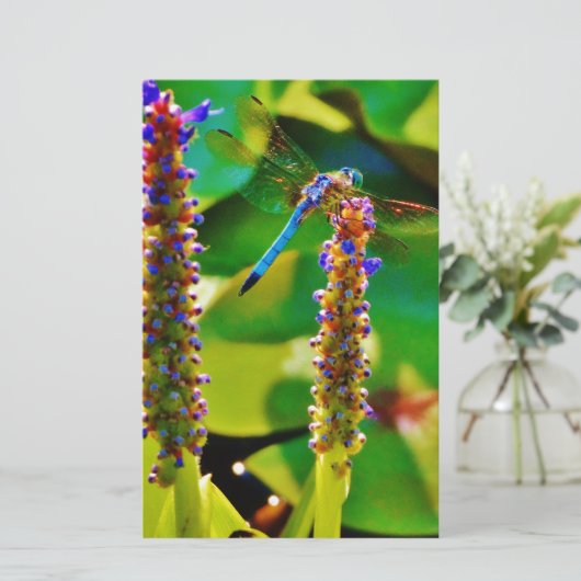 アオイと花 便箋 (スタンド正面)