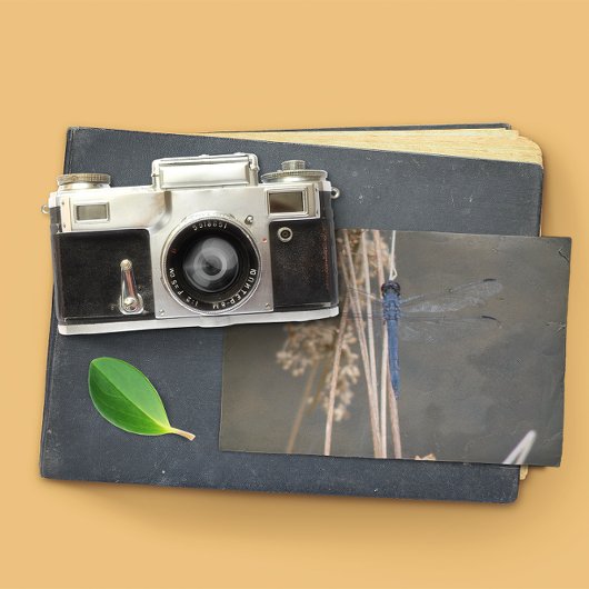 アオイ ポストカード