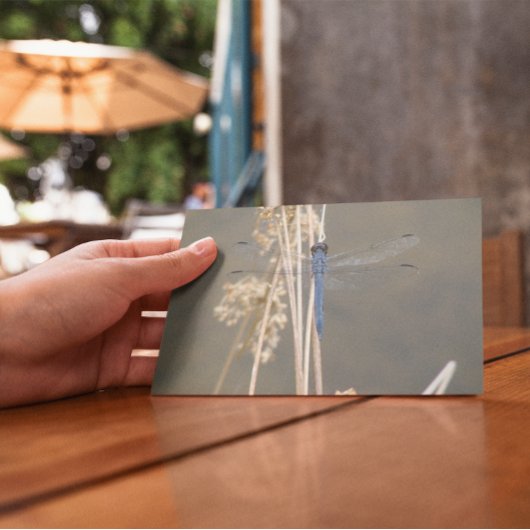 アオイ ポストカード