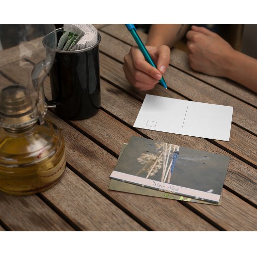 アオイ ポストカード