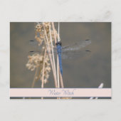 アオイ ポストカード (正面)