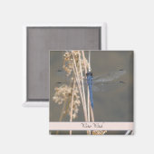 アオイ マグネット (正面/裏面)