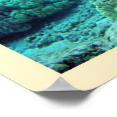 アオウミガメ(チェロニアミダス) ポスター (角)