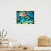 アオウミガメ(チェロニアミダス) ポスター (キッチン)