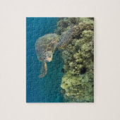 アオウミガメ（チェロニア・ミダス）は2匹 ジグソーパズル (縦)