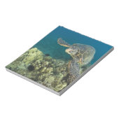 アオウミガメ(チェロニア・ミダス)は2匹 ノートパッド (回転)