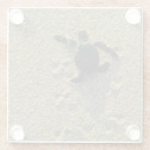 アオウミガメ(チェロニア・ミダス)、ハッチリング ガラスコースター (裏面)