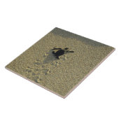 アオウミガメ（チェロニア・ミダス）、ハッチリング タイル (側面)