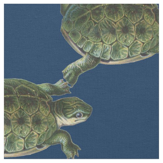 アオウミガメ ファブリック (クローズアップ)
