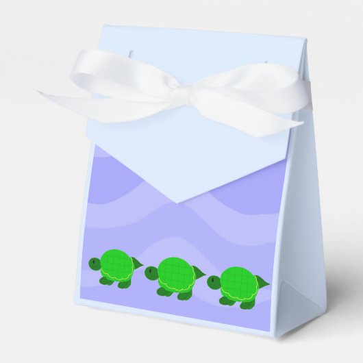 アオウミガメ フェイバーボックス (正面サイド)