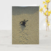 アオウミガメ、(Cheloniaのmydas)、hatchling カード (黄色い花)
