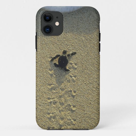 アオウミガメ (Chelonia mydas) の孵化直後の幼体 Case-Mate iPhoneケース (裏面)
