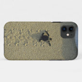 アオウミガメ (Chelonia mydas) の孵化直後の幼体 Case-Mate iPhoneケース (裏面(横))