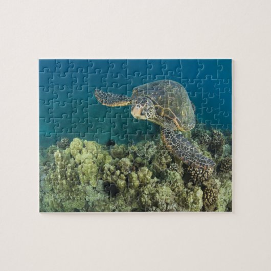 アオウミガメ (Chelonia mydas) は2 ジグソーパズル (横)