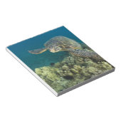 アオウミガメ (Chelonia mydas) は2 ノートパッド (アングル)
