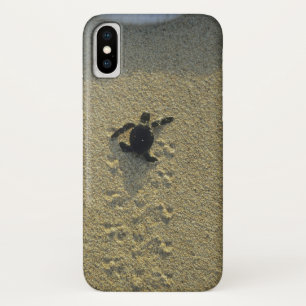 アオウミガメ (Chelonia mydas) 孵化直後 iPhone X ケース
