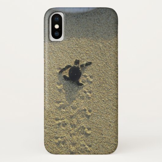 アオウミガメ (Chelonia mydas) 孵化直後 Case-Mate iPhoneケース (裏面)