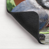 アオカケスおよび花 マウスパッド (コーナー)