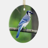 アオカケスのオーナメント セラミックオーナメント (右)